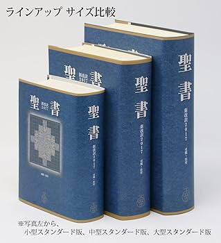 聖書 新改訳2017 大型スタンダード版 引照・注付 NBI-10 (いのちの