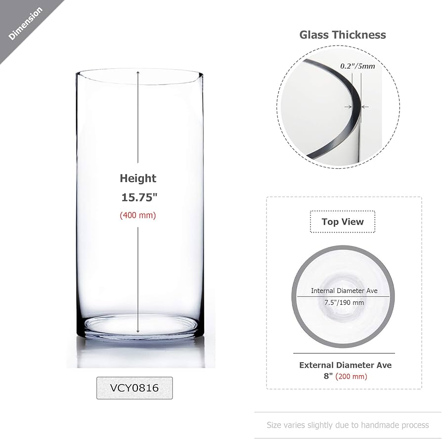 Amazon.com: WGV Cylinder Vase, Width 8