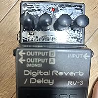 Amazon.co.jp: BOSS Boss / RV-3 Digital Reverb/Delay : Musical