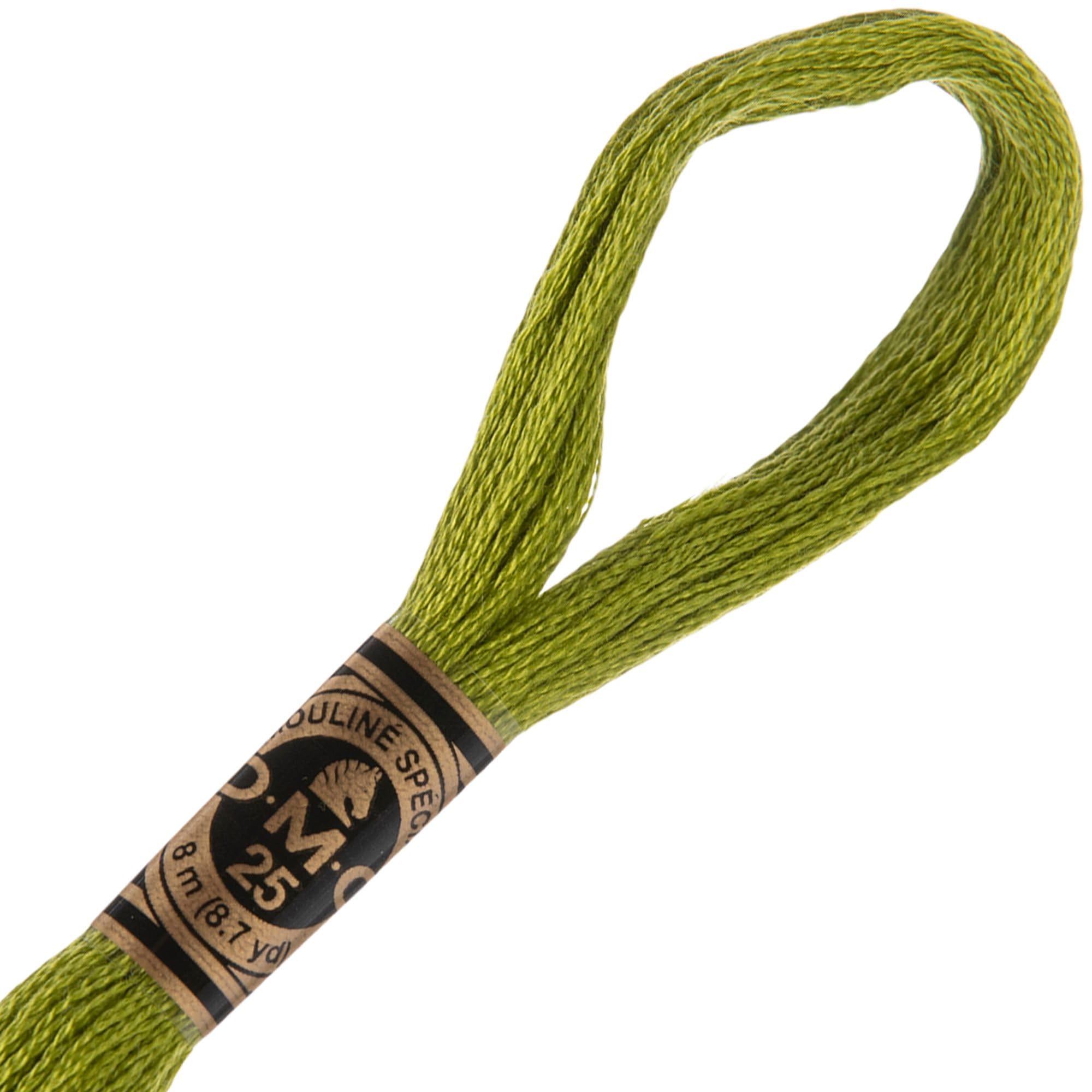 Amazon.com: Hobby Lobby DMC Cotton Embroidery Floss (Set of 12