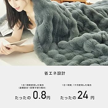 Amazon.co.jp : 電気毛布 掛け敷き ひざ掛け 洗える ふわとろ 2枚