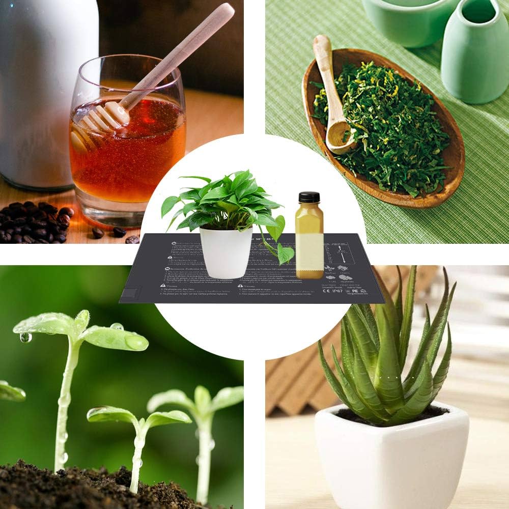 Amazon.co.jp: ketotek 10