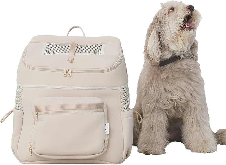 Amazon.co.jp: [citydog] ネオプレーンバックパックキャリー 【軽量