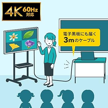 Amazon.co.jp: サンワサプライ USB20Gbps Type-Cケーブル（PD60W・3m