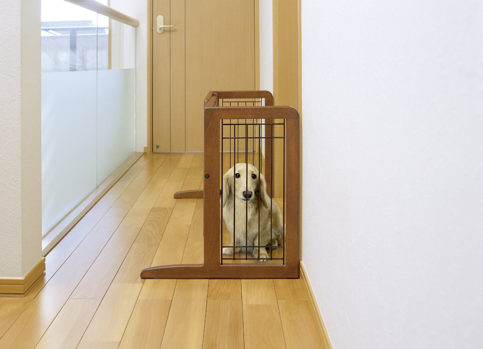 Amazon.co.jp: リッチェル ペット用 木製おくだけゲート ワイド