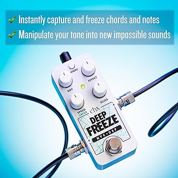 Amazon.com: Electro-Harmonix Pico Deep Freeze Sound Retainer