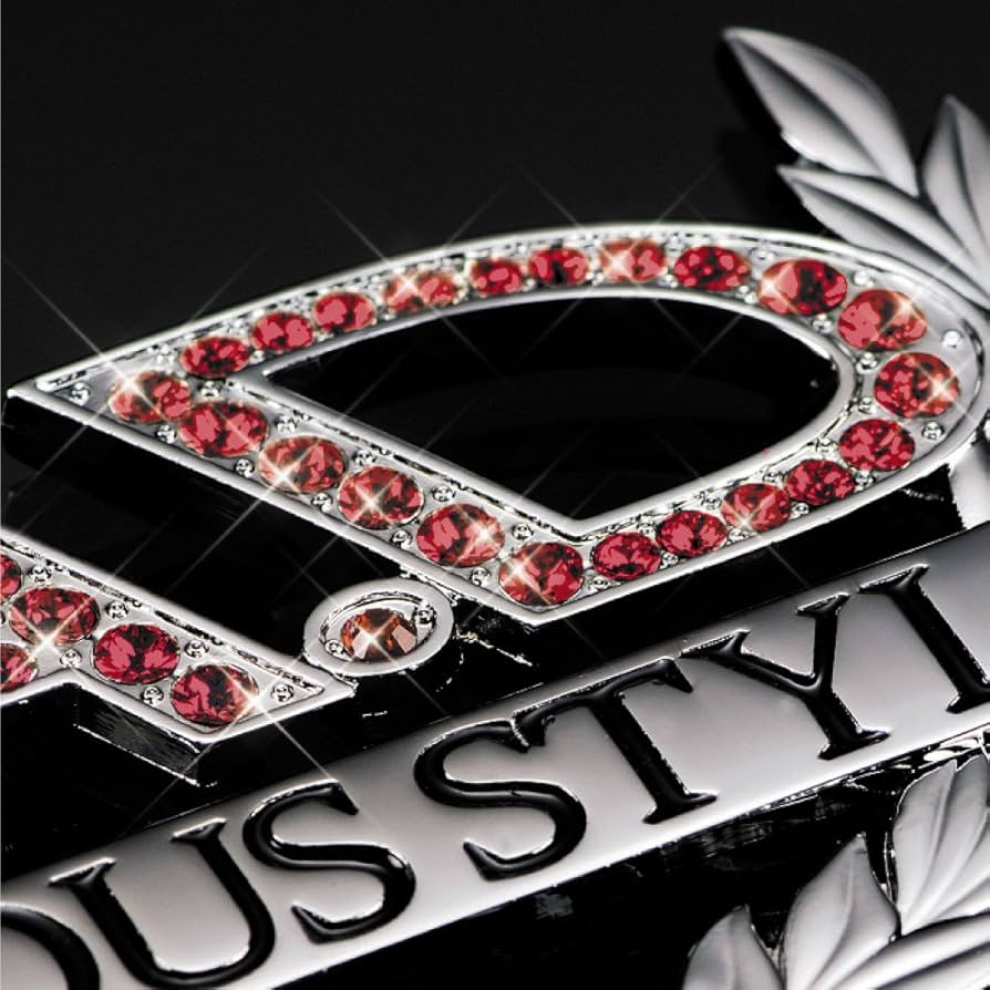 Amazon.co.jp: ミラーネックレス [ディルス] シルバー/ライトシャム