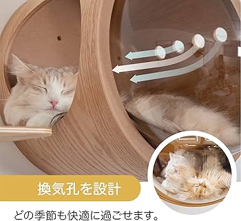 Amazon | MYZOO 宇宙船 猫ハウス ペット用ベッド ドーム状 壁付け対応