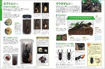 Amazon.co.jp: 小学館の図鑑NEO 飼育と観察 (小学館の図鑑・NEO 15