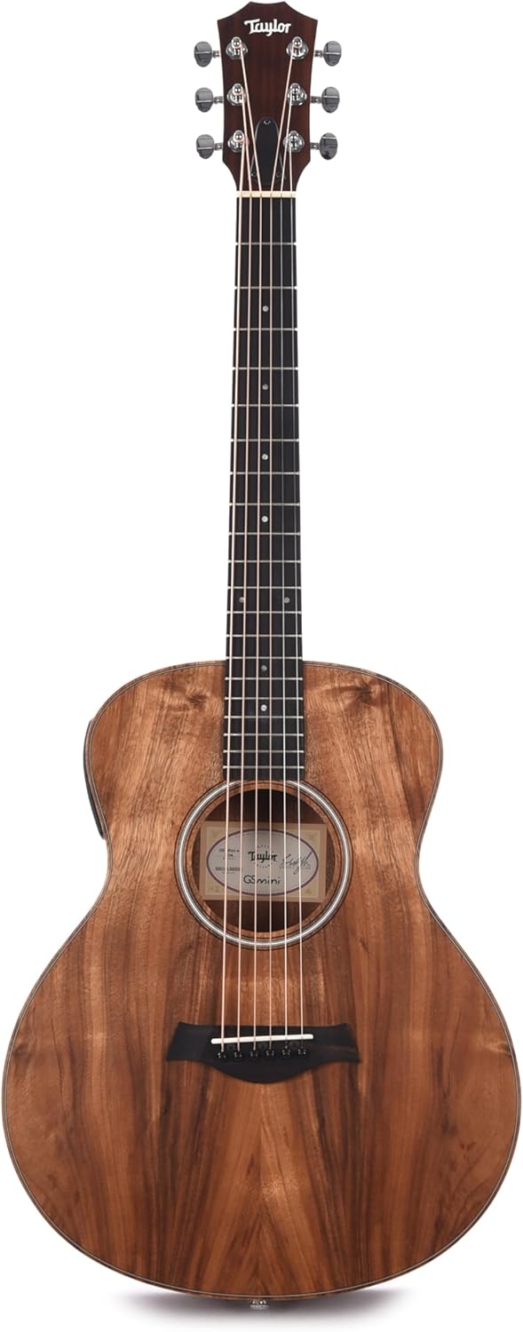 Taylor GS Mini-e Koa 超美品 テイラー ES-Bピックアップ Taylor GS Mini-e
