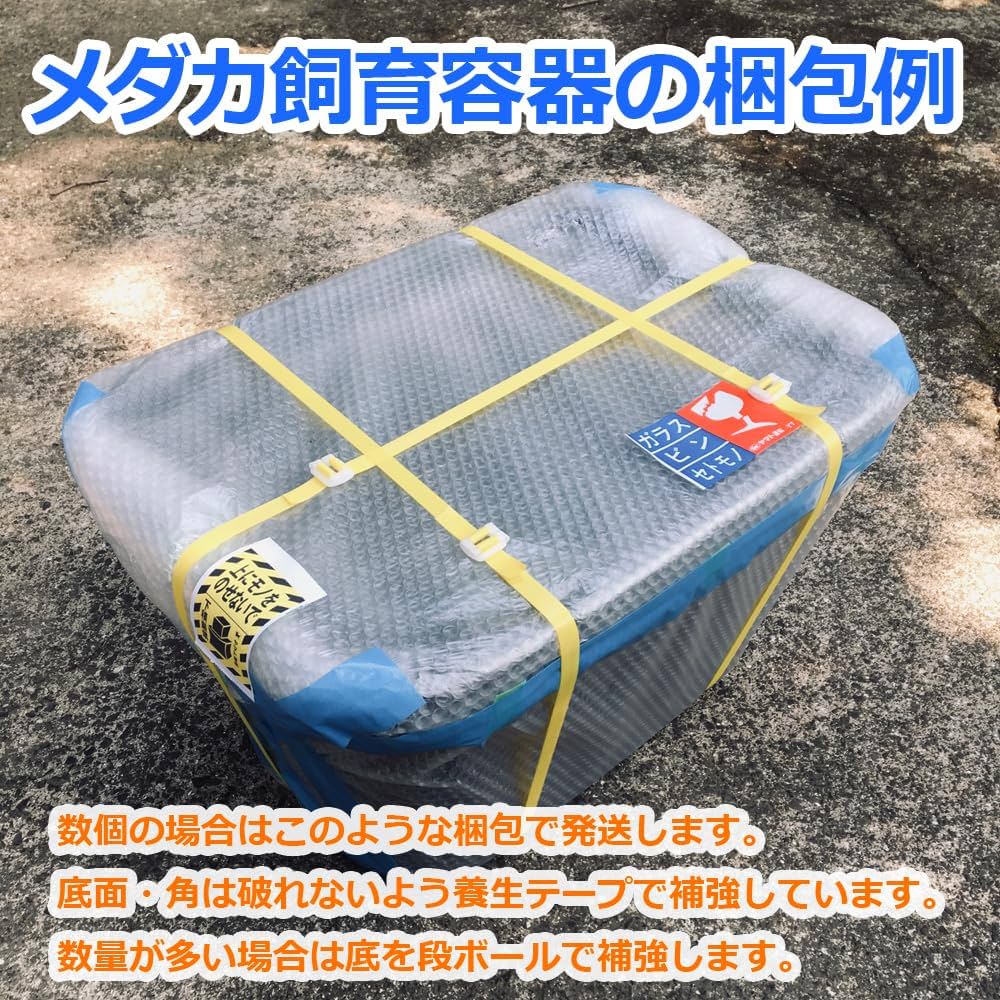 Amazon.co.jp: 五色アクア メダカ飼育容器 56リットル 白