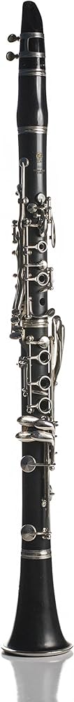 Amazon | YCL-250 | クラリネット | 楽器・音響機器
