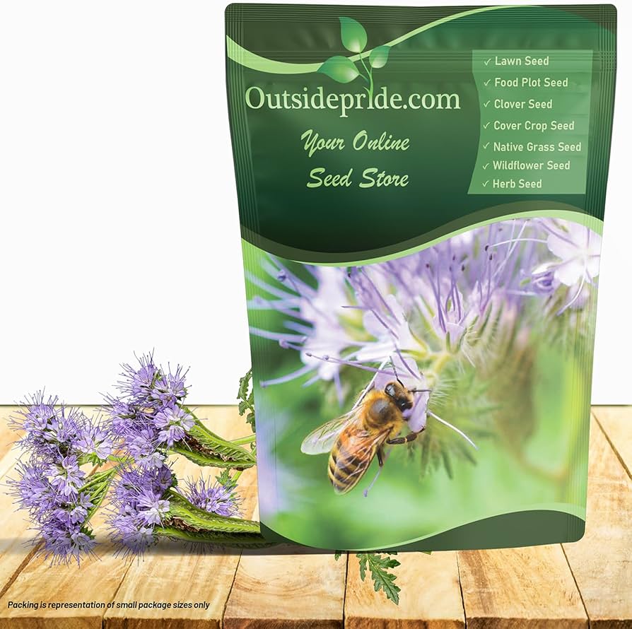 Amazon.com : Outsidepride Lacy Phacelia Seeds for Planting - 1 Lb