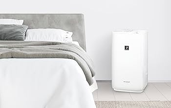 71eqGbydG3L._AC_UF350,