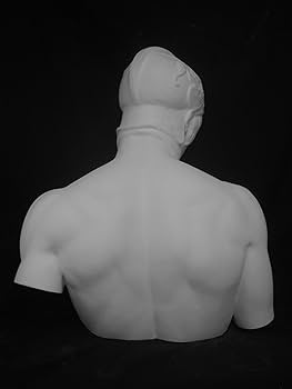 Amazon.co.jp: 石膏像 K－123 ボルゲーゼのマルス胸像 H