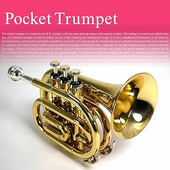 Amazon | Soleil ソレイユ ポケットトランペット サクラ楽器オリジナル