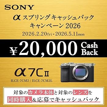 Amazon | SONY(ソニー) 【α7CM2 と バッテリー/チャージャー セット