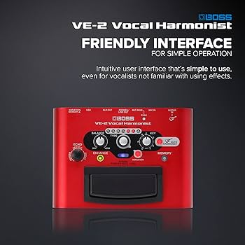 Amazon.com: BOSS VE-2 Vocal Echo Pedal for Singing Guitarists