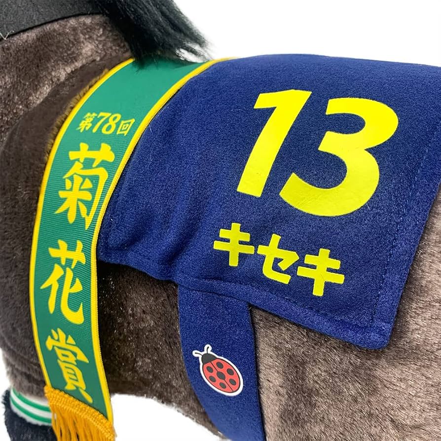 71j4un4sIuL._AC_UF894,