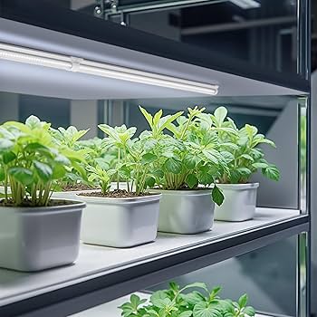 Amazon.com: Barrina Grow Lights, 2FT 5000K White Full Spectrum