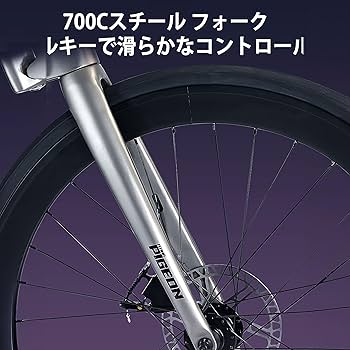 XDS RC618 フル内装 S-WORKS風 取り引き Amazon | 700C 18段変速