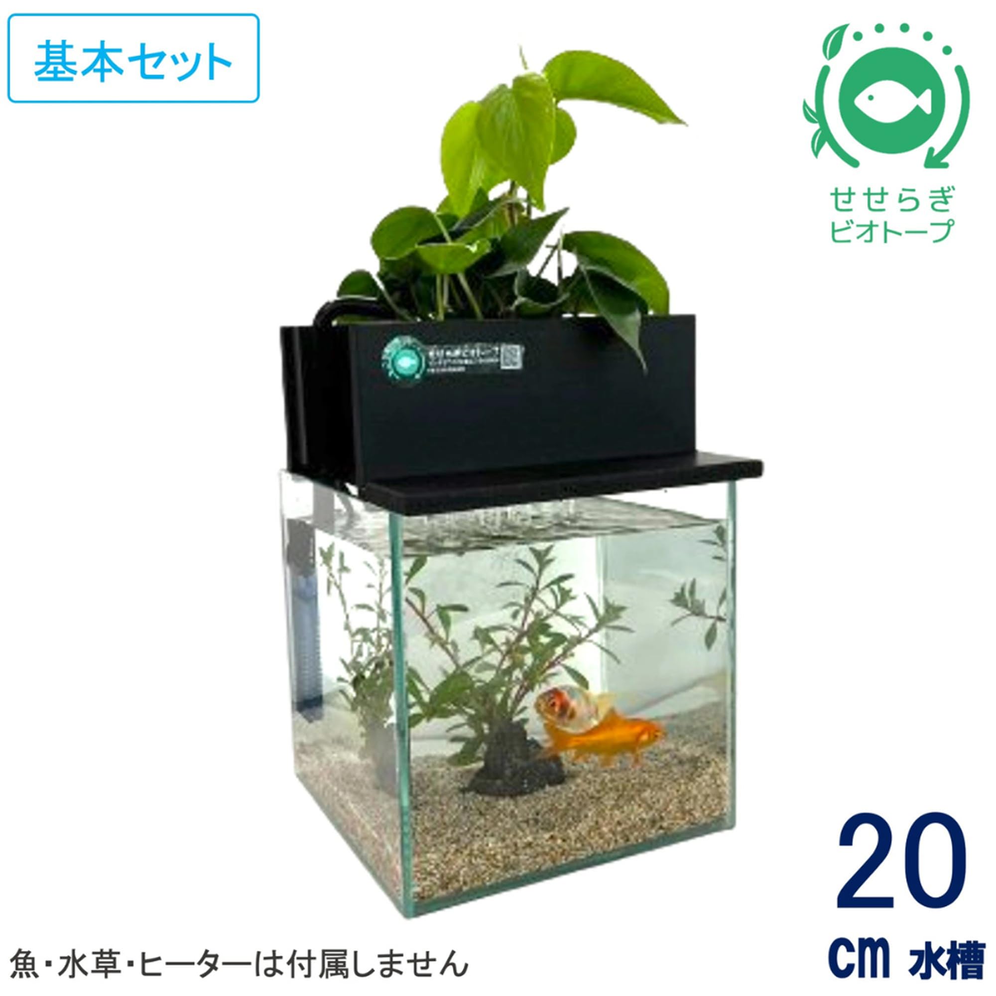 Amazon | せせらぎビオトープ 水替え不要【水槽セット】 20cm型 【色