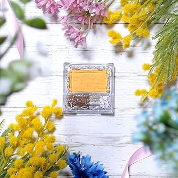 キャンメイク パウダーチークス PW40ミモザイエロー 19点 Amazon