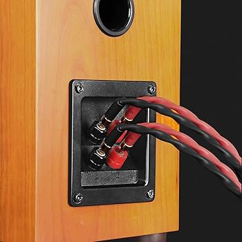 Amazon.co.jp: k4B-2B バイワイヤスピーカーケーブル (バナナプラグ2個