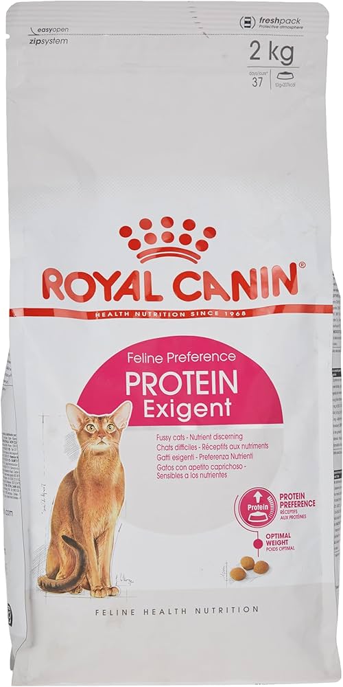 Amazon.co.jp: ロイヤルカナン FHN エクシジェント42 猫用 2kg