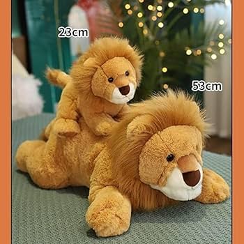 71oY4Msy2hL._AC_UF350,