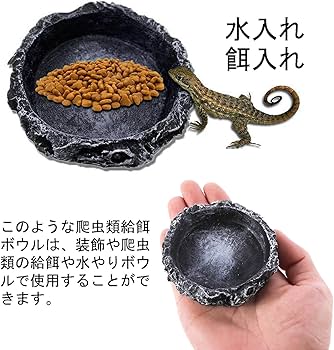 Amazon | 爬虫類 水入れ 餌入れ 自然の岩イメージ 9*9*2 水飲み皿 樹脂