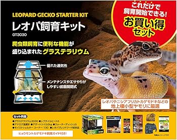 ホ*ナ様 レオパ飼育キット GT3030 【爬虫類初心者にもオススメ】 ホ*ナ