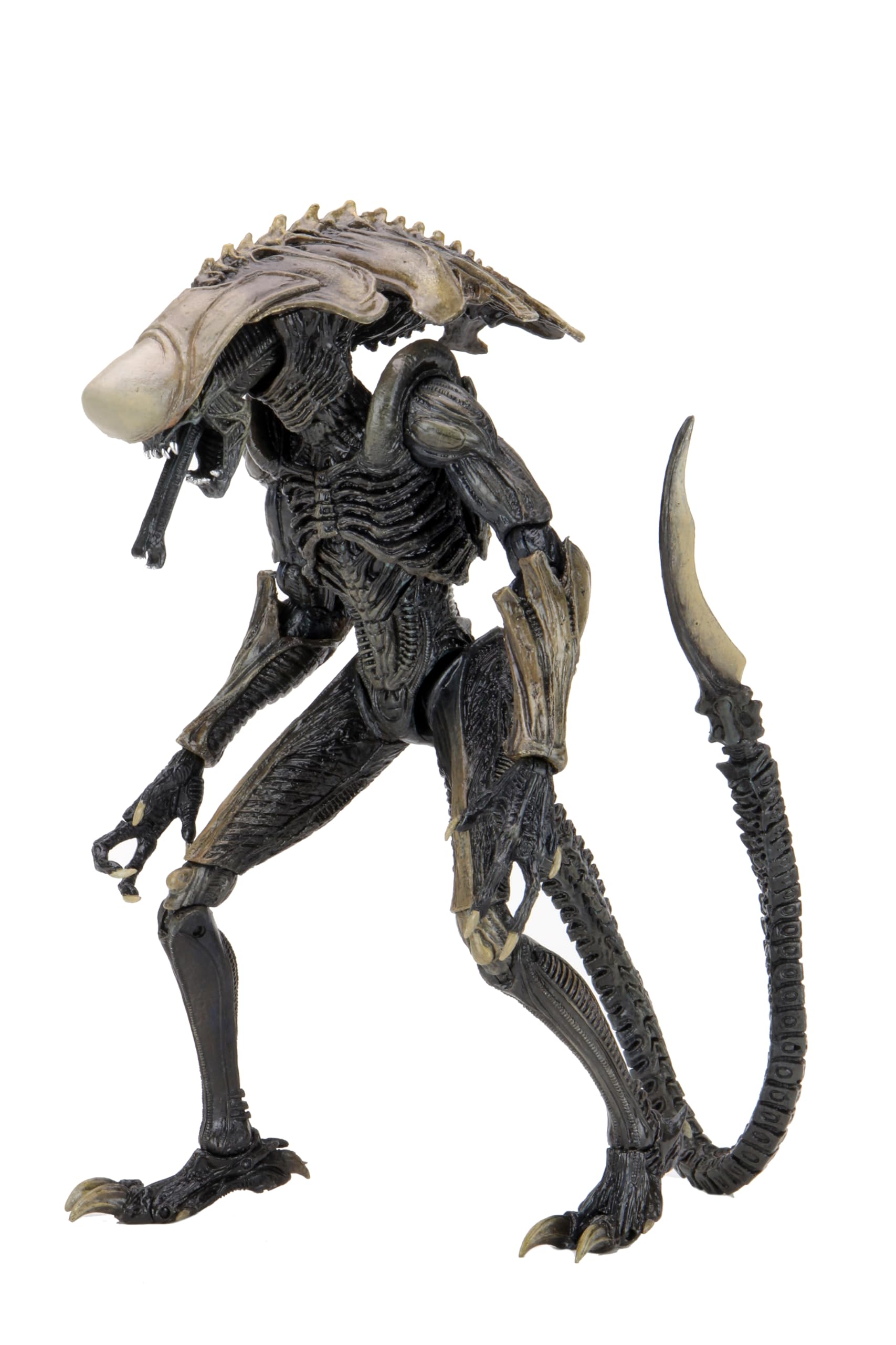 Amazon.com: NECA Collectible Alien Vs Predator Game Movie Ultimate
