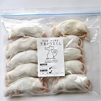 Amazon | 国産冷凍マウス (アダルトL/25g 10匹入り) 爬虫類 餌 猛禽類