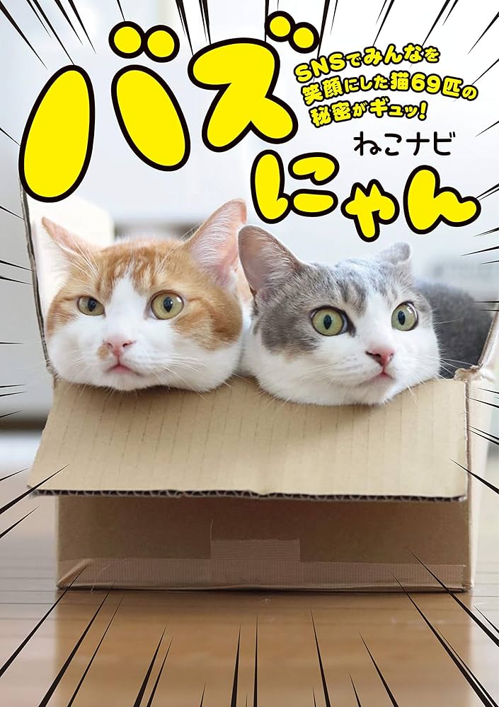 81-IP9MBe6L._AC_UF1000,