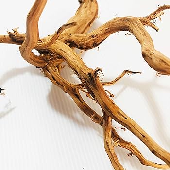 Amazon | Goldlife 流木 中 Mサイズ 2本セット スマトラウッド