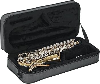 Amazon | GATOR ゲーター サックス用 軽量セミハードケース GL Band