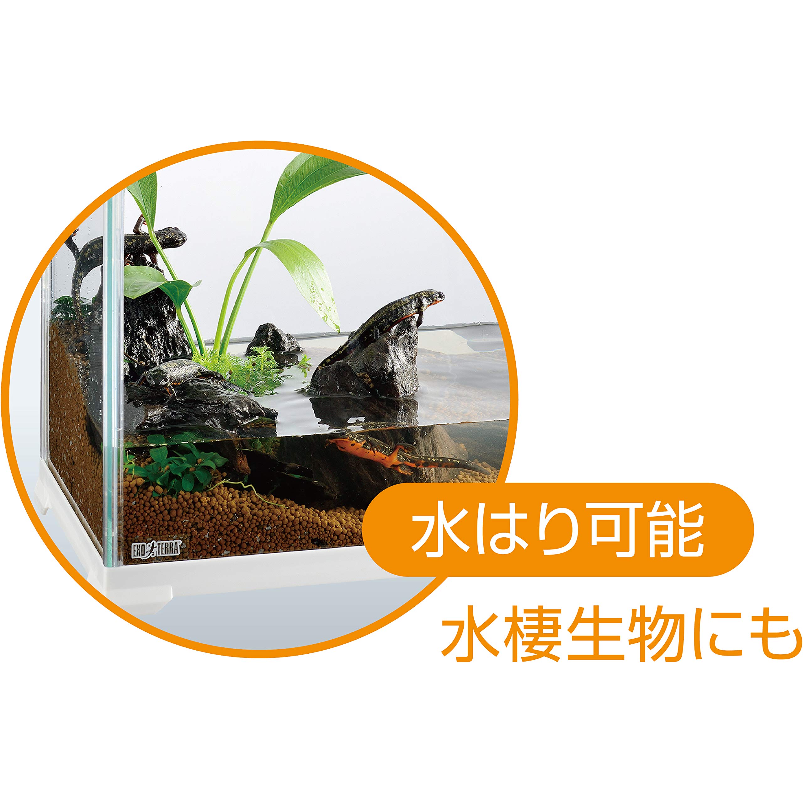 Amazon | エキゾテラ GEX EXOTERRA レプテリアホワイト300 Low 小型