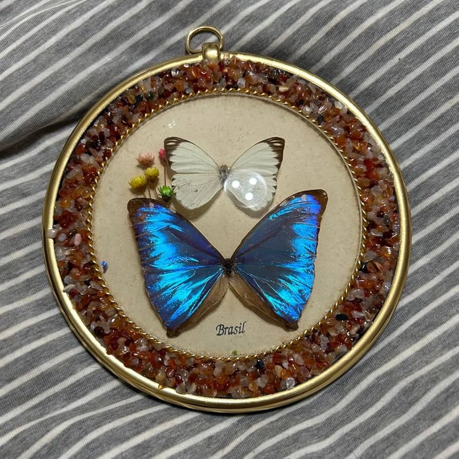 Amazon.co.jp: 蝶々 アンティーク ビンテージ 壁掛け キモカワ