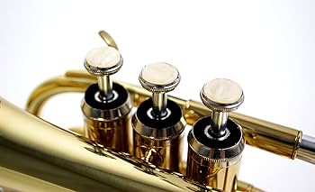 Amazon.co.jp: Kaerntner ケルントナー ポケットトランペット KTR-33P