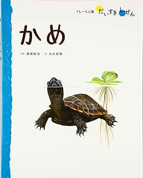 81xIiLhKZXL._AC_UF350,