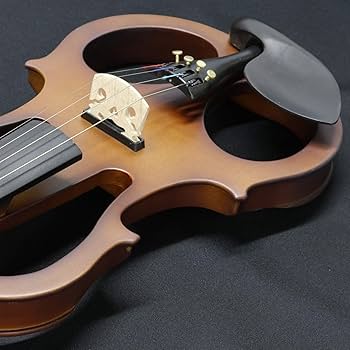Amazon | キクタニ エレクトリックバイオリン セット 4/4サイズ ESV