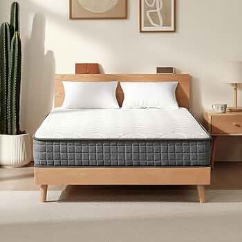 81BgCxBCdqL._AC_UF350,