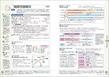 Amazon.co.jp: 病気がみえる vol.15 小児科 第1版 : 医療情報科学研究