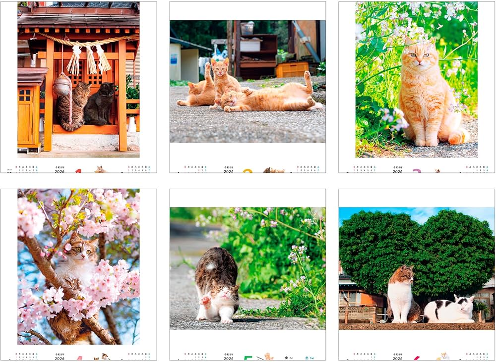 購入者限定特典付き】のんびり島にゃんCALENDAR 2026（月めくり/壁掛け