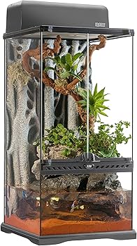 Amazon | エキゾテラ GEX EXOTERRA グラステラリウム3060 PT2595