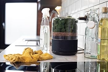 Amazon.co.jp: BRIIV (ブリーヴ) 英国発の自然派エコ空気清浄機 コケ