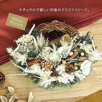 81G48SkWu+L._AC_UF350,