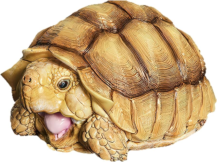 Amazon.com: IFiDEA Animal Heavenly Body Series 3 Turtle Chubby