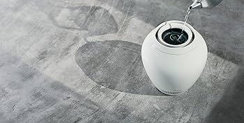 Amazon.co.jp: バルミューダ レイン スタンダードモデル 気化式加湿器